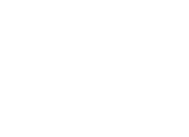 Logoul Interior de Lux Imagine protejată prin dreptu de autor